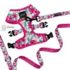 Dog Two Piece Bundle - Floral Frenzy 2 Dog Two Piece Bundle - Floral Frenzy -Furfinity Cheap Shop FLORAL FRENZY TWO PIECE