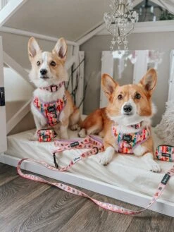 Dog Two Piece Bundle - Disney's Bambi 29 Dog Two Piece Bundle - Disney's Bambi -Furfinity Cheap Shop FLORIDACORGIS 2 1