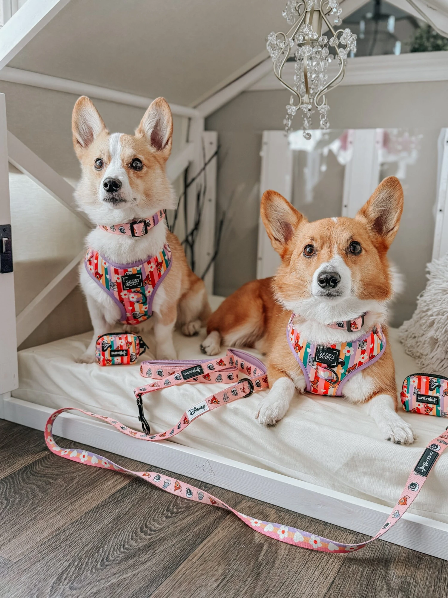 Dog Two Piece Bundle - Disney's Bambi 16 Dog Two Piece Bundle - Disney's Bambi - Image 14