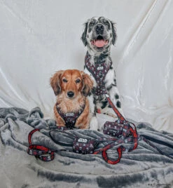 Dog Four Piece Bundle - STAR WARS™ The Dark Side -Furfinity Cheap Shop FOREVERMYSHADOW