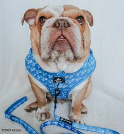 Dog Four Piece Bundle - KEN™ -Furfinity Cheap Shop FRANKIE THE BULLDAWG 2