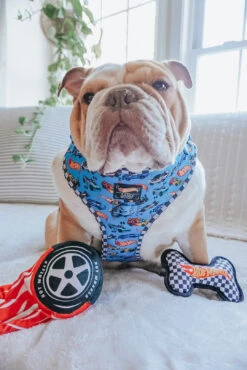 Dog Toy - Hot Wheels™ -Furfinity Cheap Shop FRANKIE THE BULLDAWG 2 6aa55ebe c065 4ffc 8a19 9f4a7019f09b