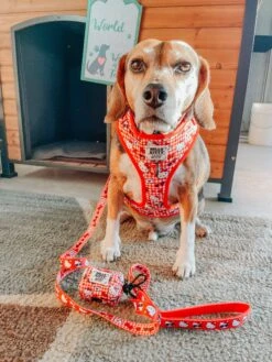 Dog Waste Bag Holder - Hello Kitty® Red Classic -Furfinity Cheap Shop FREDDIEMEOWCRY 1 48da969b 946b 4dfe bc1c c9e92fd5facd