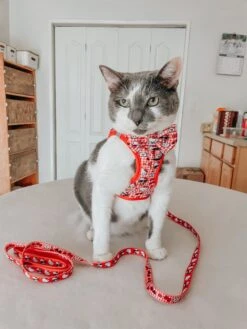 Cat Step-In Harness - Hello Kitty® Red Classic -Furfinity Cheap Shop FREDDIEMEOWCRY 4 1