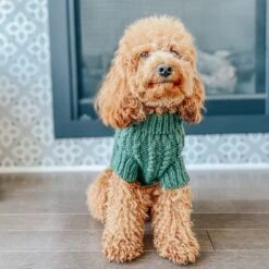 Dog Cable Knit Sweater - Dark Green -Furfinity Cheap Shop Fall 22 georgie 2