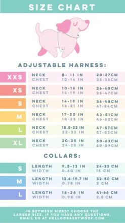 Dog Four Piece Bundle - Twilight -Furfinity Cheap Shop FinalSizeChart 02 30790771 4fae 49c4 b2cf e6921e5b90a9