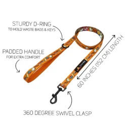 Collar Three Piece Bundle - Garfield™ -Furfinity Cheap Shop GARFIELD LEASH GUIDE 74e8e04f ddfe 4225 9bd1 bb35f1dc4983