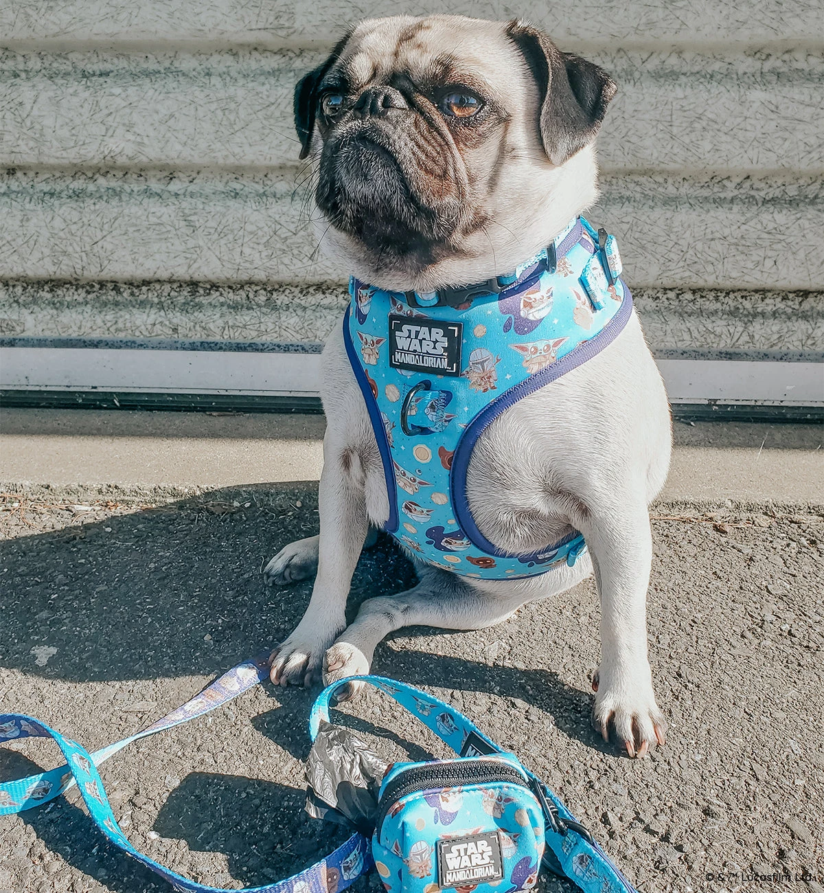 Dog Two Piece Bundle -STAR WARS™ The Mandalorian™ 11 Dog Two Piece Bundle -STAR WARS™ The Mandalorian™ - Image 9