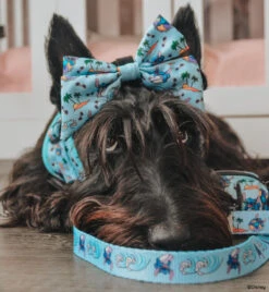 Dog Sailor Bow - Disney's Stitch -Furfinity Cheap Shop GINGER THESCOTTIEDOGGO 19d8de85 a3de 4928 b878 c88a6ab17e91