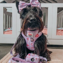 Dog Four Piece Bundle - BARBIE™ Closet Goals 40 Dog Four Piece Bundle - BARBIE™ Closet Goals -Furfinity Cheap Shop GINGER THESCOTTIEDOGGO 1 26aabf84 33b8 408b bc76 1947f147cb6f