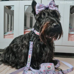 Dog Sailor Bow - BARBIE™ Closet Goals -Furfinity Cheap Shop GINGER THESCOTTIEDOGGO 2 e0d41adf b035 467a 9977 30836a7e2ad9