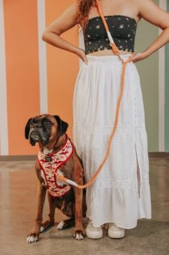 Hands Free Rope Leash - Clementine -Furfinity Cheap Shop GMA Thor