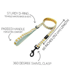 Dog Four Piece Bundle - Good Duck, Babe! -Furfinity Cheap Shop GOOD DUCK BABE SASSY WOOF LEASH GUIDE