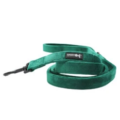 Dog Two Piece Bundle - Nice -Furfinity Cheap Shop GREEN VELVET FLUFF LEASH 8f9348e8 1a62 4ec2 b2c8 9b75f2393428