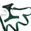 Dog Two Piece Bundle - Nice 2 Dog Two Piece Bundle - Nice -Furfinity Cheap Shop GREEN VELVET FLUFF TWO PIECE BUNDLE