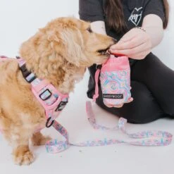 Dog Treat Pouch - Good Vibes -Furfinity Cheap Shop GoodVibes TreatPouch ModelImages 2