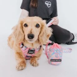 Dog Treat Pouch - Good Vibes -Furfinity Cheap Shop GoodVibes TreatPouch ModelImages