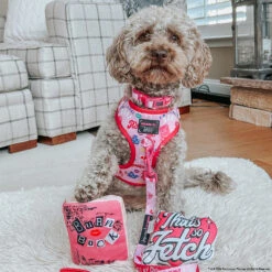 Dog Toy - Mean Girls™ 13 Dog Toy - Mean Girls™ -Furfinity Cheap Shop HARPERTHECHOCOLATEDOODLE 2 9b5365e7 e60d 4624 9996 49e3f9253b77