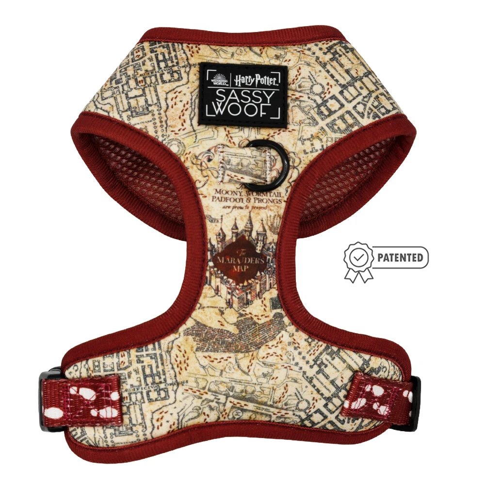 Dog Two Piece Bundle - Harry Potter™ Marauder's Map™ 4 Dog Two Piece Bundle - Harry Potter™ Marauder's Map™ - Image 2