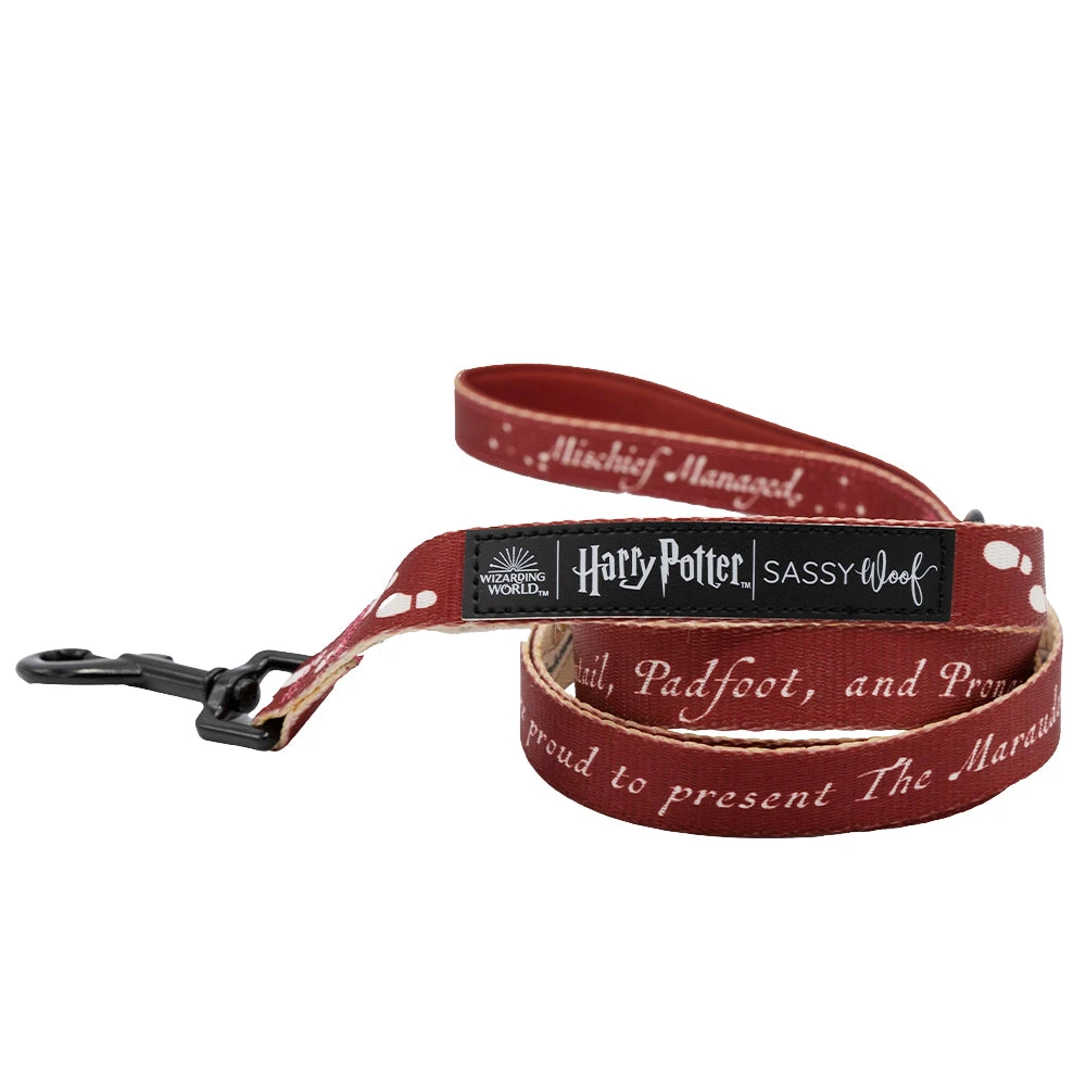 Dog Two Piece Bundle - Harry Potter™ Marauder's Map™ 5 Dog Two Piece Bundle - Harry Potter™ Marauder's Map™ - Image 3