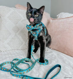 Cat Leash - Nickelodeon CatDog™ -Furfinity Cheap Shop HAVANESEMORNING 10 d53fae1c 0faf 4ebc 90a1 0dbb94e9ba21