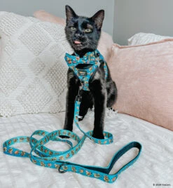 Cat Collar - Nickelodeon CatDog™ -Furfinity Cheap Shop HAVANESEMORNING 11