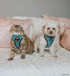 Cat Step-In Harness - Nickelodeon CatDog™ -Furfinity Cheap Shop HAVANESEMORNING 2