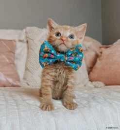 Cat Bowtie - Nickelodeon CatDog™ 11 Cat Bowtie - Nickelodeon CatDog™ -Furfinity Cheap Shop HAVANESEMORNING 4