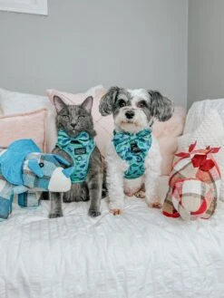 Dog Sailor Bow - Dino Darling -Furfinity Cheap Shop HAVANESEMORNING 2ed4f32b 5b92 4a87 82e5 ddba6a65eaae