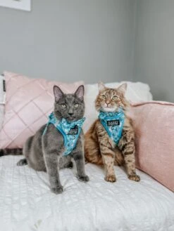 Cat Step-In Harness - Purrs & Petals -Furfinity Cheap Shop HAVANESEMORNING 3 0d66718c c465 41f0 b6b0 f61319d92866