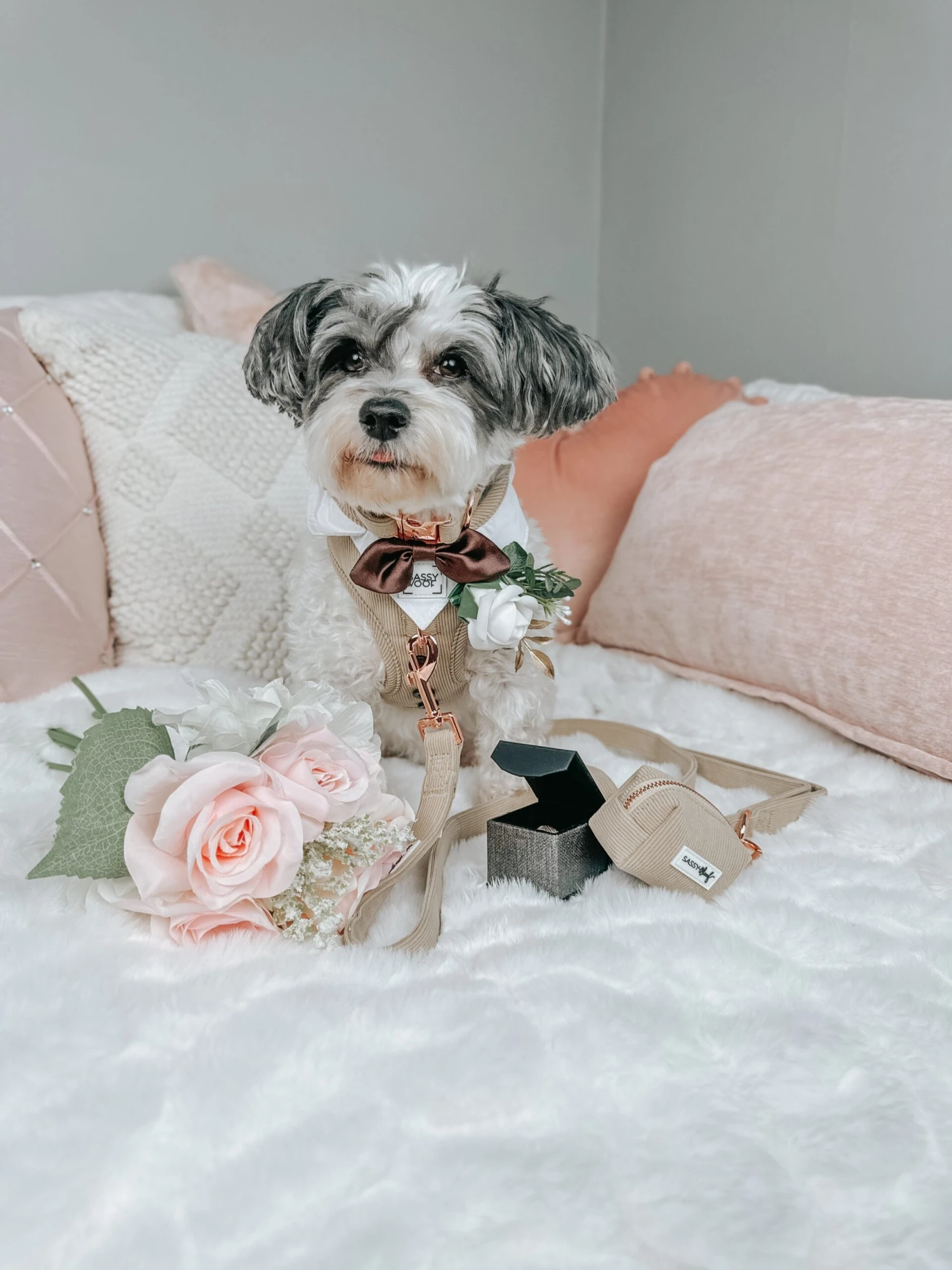 Dog Four Piece Bundle - Best Pup 12 Dog Four Piece Bundle - Best Pup - Image 10