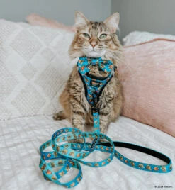 Cat Collar - Nickelodeon CatDog™ -Furfinity Cheap Shop HAVANESEMORNING 70c18ff2 5b03 48ba a935 804191b3d806