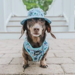 Dog Bucket Hat - Disney's Stitch -Furfinity Cheap Shop HAWAII STITCH