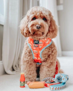 Dog Waste Bag Holder - One Hot Pupperoni -Furfinity Cheap Shop HOT PUPP 1 4b79f7f8 4ffe 48b5 b033 19e4ea6c3599