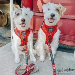 Dog Two Piece Bundle -Harry Potter™ -Furfinity Cheap Shop HPMODEL27 d4107365 e2b7 44d2 b993 65ae5ecd53f8