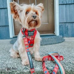 Dog Two Piece Bundle -Harry Potter™ -Furfinity Cheap Shop HPMODEL44 406f4f04 50ac 4c51 874b aeccb8b4cd90