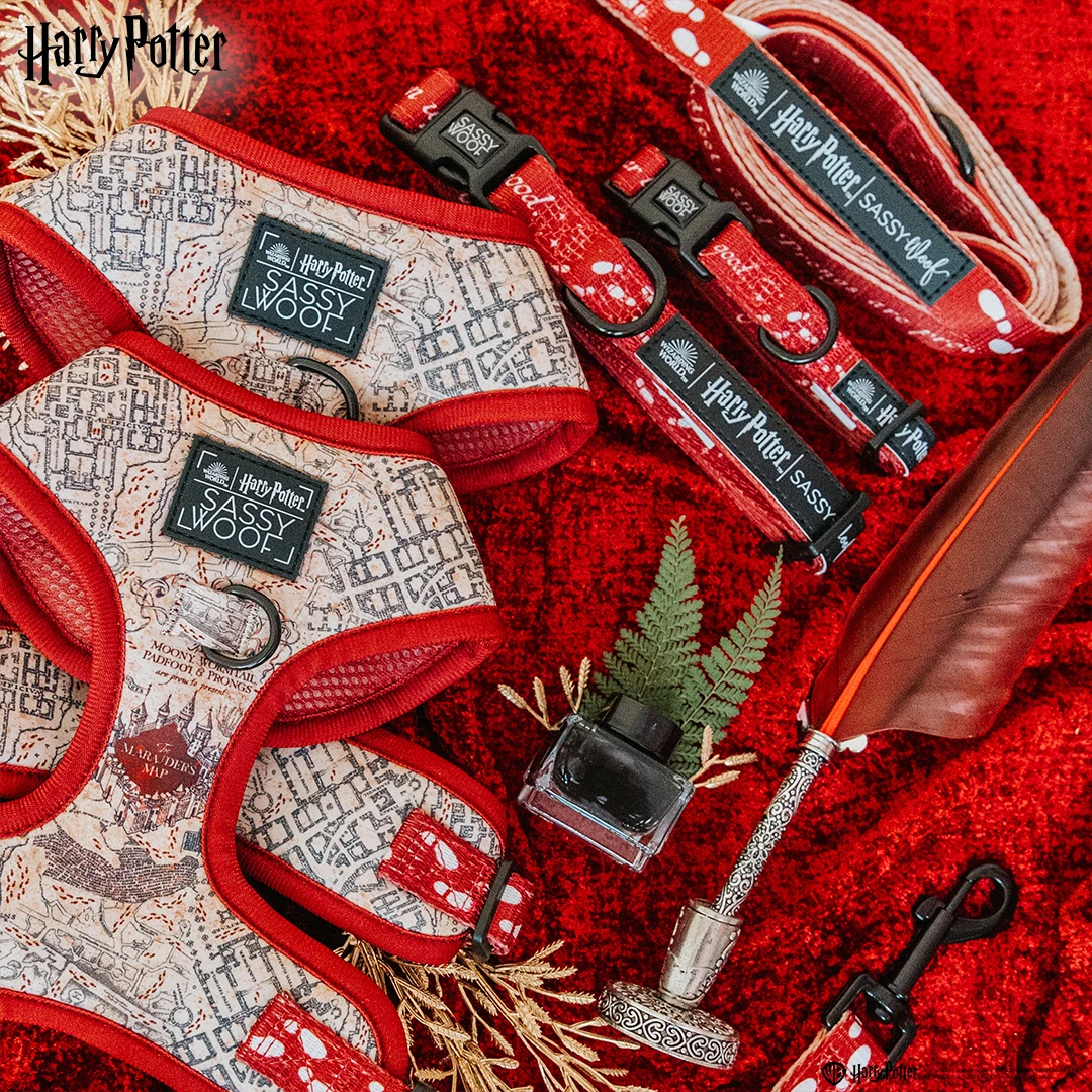 Dog Two Piece Bundle - Harry Potter™ Marauder's Map™ 8 Dog Two Piece Bundle - Harry Potter™ Marauder's Map™ - Image 6