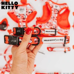 Dog Collar Three Piece Bundle - Hello Kitty® Red Classic -Furfinity Cheap Shop Hello Kitty Vday Legal 4 5141c403 722e 40f4 9158 35b6f8f570cf