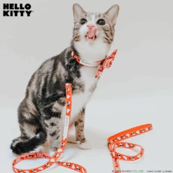 Cat Leash - Hello Kitty® Red Classic -Furfinity Cheap Shop HelloKitty CatModel Ludo 6