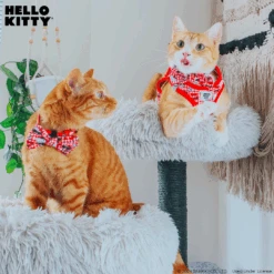 Cat Step-In Harness - Hello Kitty® Red Classic -Furfinity Cheap Shop HelloKitty CatModel Mso Mae 4