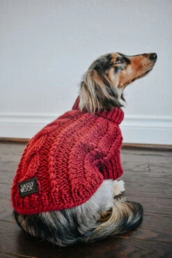 Dog Cable Knit Sweater - Red -Furfinity Cheap Shop Holiday22 theminitatertot 01