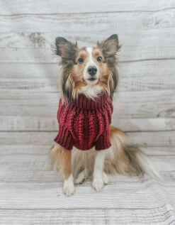 Dog Cable Knit Sweater - Red -Furfinity Cheap Shop Holiday22 theofficialpup 1