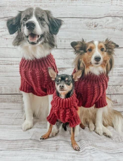 Dog Cable Knit Sweater - Red -Furfinity Cheap Shop Holiday22 theofficialpup 3