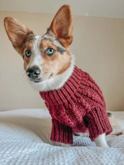 Dog Cable Knit Sweater - Red -Furfinity Cheap Shop Holiday22 winnieredcableknits 5