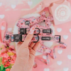 Dog Collar - I Chews You -Furfinity Cheap Shop I Chews You Dog Collection 4