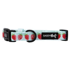 Dog Collar - I Woof You Berry Much -Furfinity Cheap Shop I LOVE YOU BERRY MUCH COLLAR
