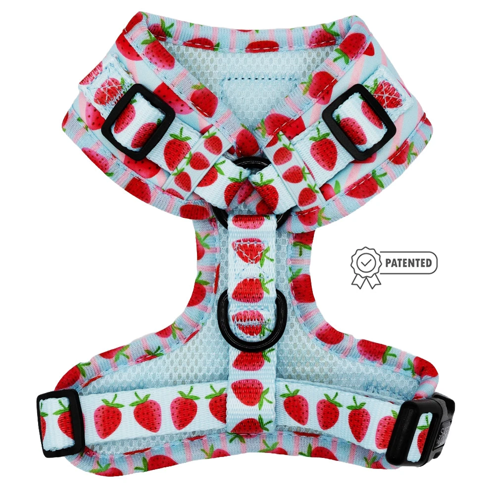 Dog Adjustable Harness - I Woof You Berry Much 4 Dog Adjustable Harness - I Woof You Berry Much - Image 2