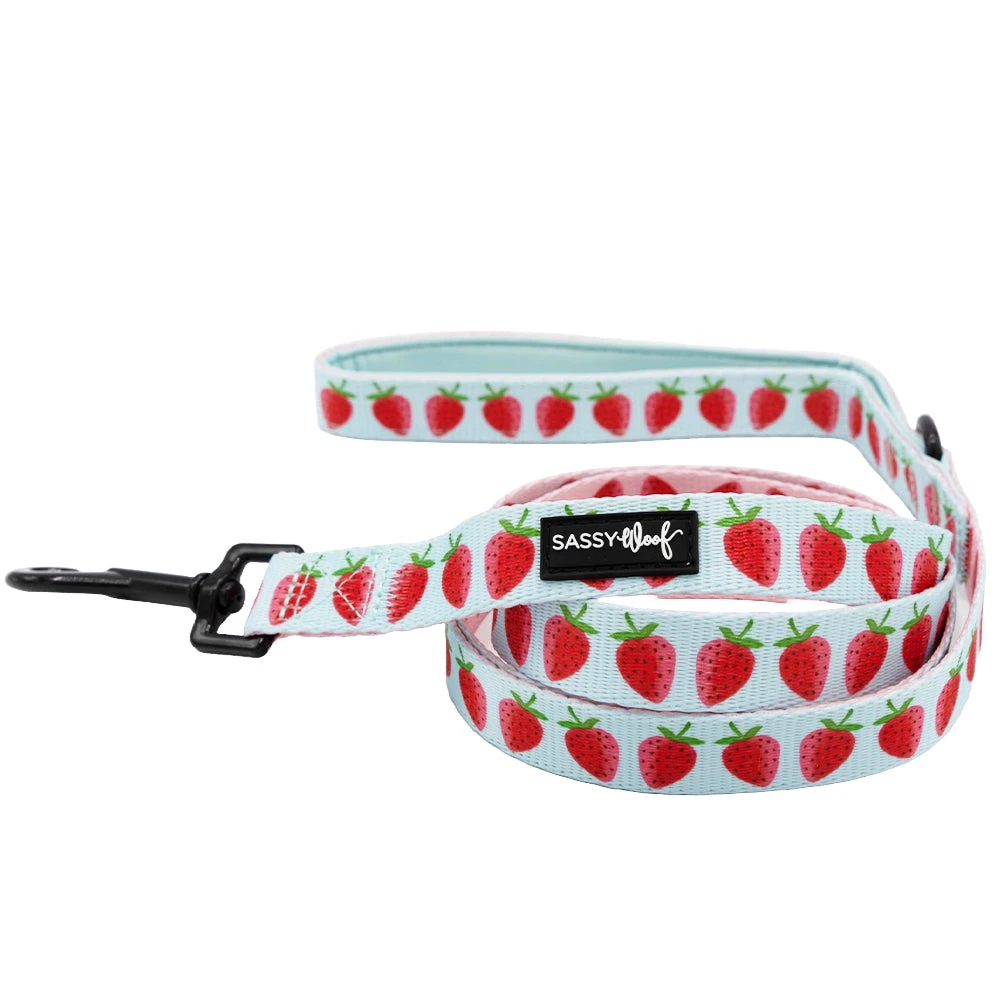 Dog Two Piece Bundle - I Woof You Berry Much 5 Dog Two Piece Bundle - I Woof You Berry Much - Image 3