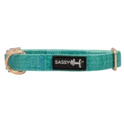 Dog Collar - Wag Your Teal -Furfinity Cheap Shop IMG 5423 37e95701 2a2e 49d6 b246 90a4edd570aa