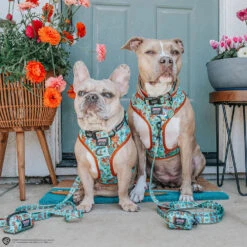 Dog Waste Bag Holder - Scooby-Doo™ -Furfinity Cheap Shop INDIE PITTIE 7d685a77 e71d 4b84 a3d8 b62dfcec7c76